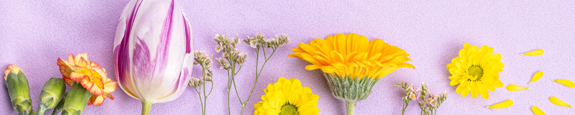 Lente Look Lente Look
