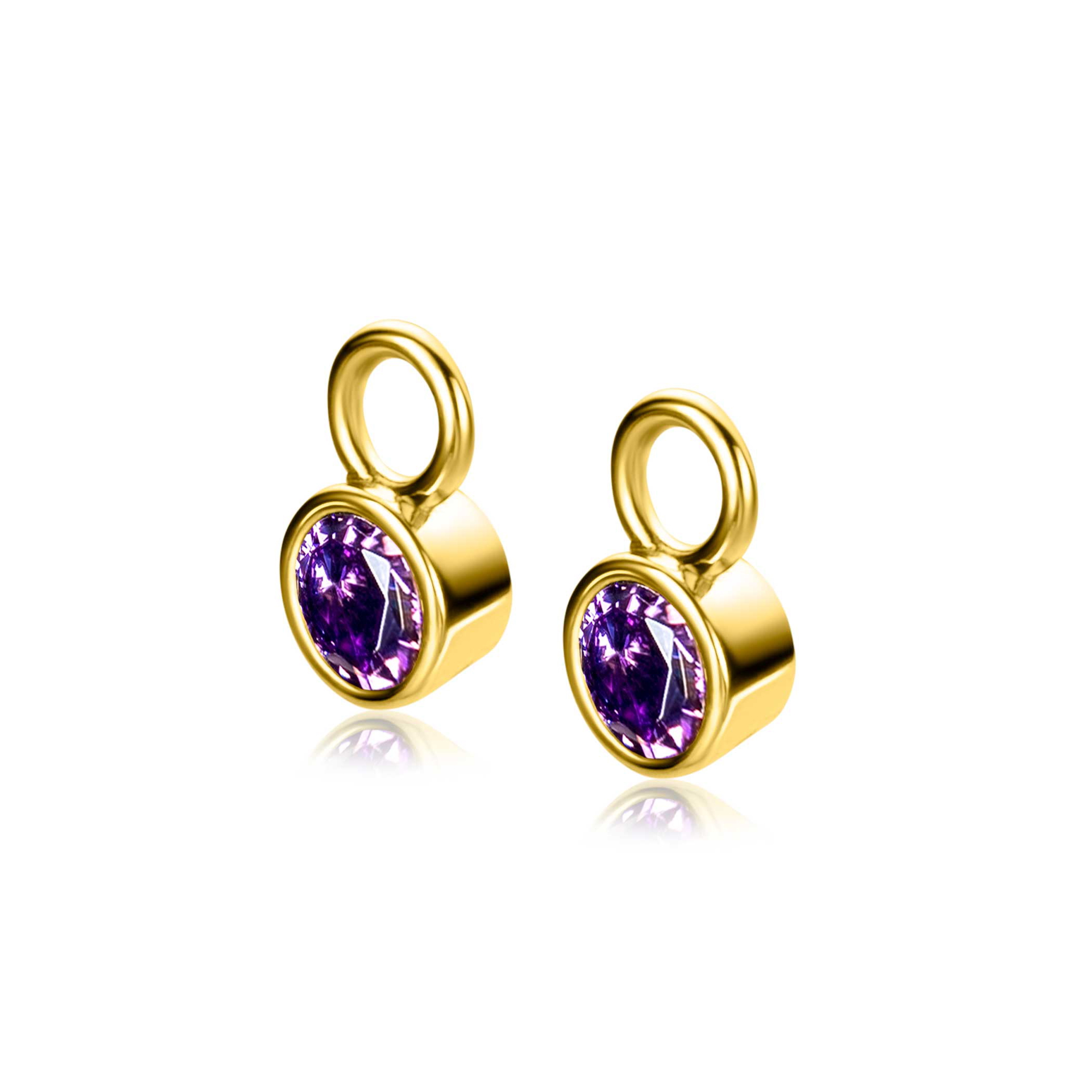 FEBRUARI oorbedels gold plated met geboortesteen paars amethist zirconia (excl. oorringen)
