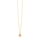 ZINZI zlv. collier gg.verg. met champ.klaver hanger