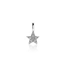 ZINZI zilveren ster hanger 13mm wit ZIH2138 (zonder collier)
