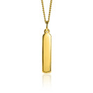 ZINZI zilveren hanger 14K geel verguld 32mm langwerpige plaat ZIH2213G (zonder collier)