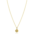 ZINZI zlv.collier gg.verg.met hanger rond zon en zirc.