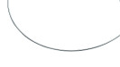 Zinzi zlv.Omegacollier 1mm 48cm