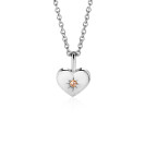ZINZI zlv. hanger hartvorm birthstones citrien cz.