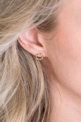 ZINZI silberne Ohrstecker 14K gelb vergoldet 8mm besetzt regenbogen ZIO2170